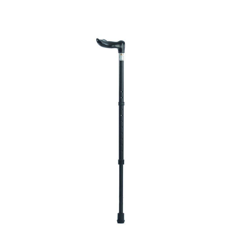 Walking Sticks